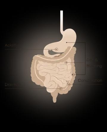 Gut Issues