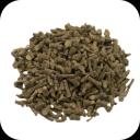 Pippalimool