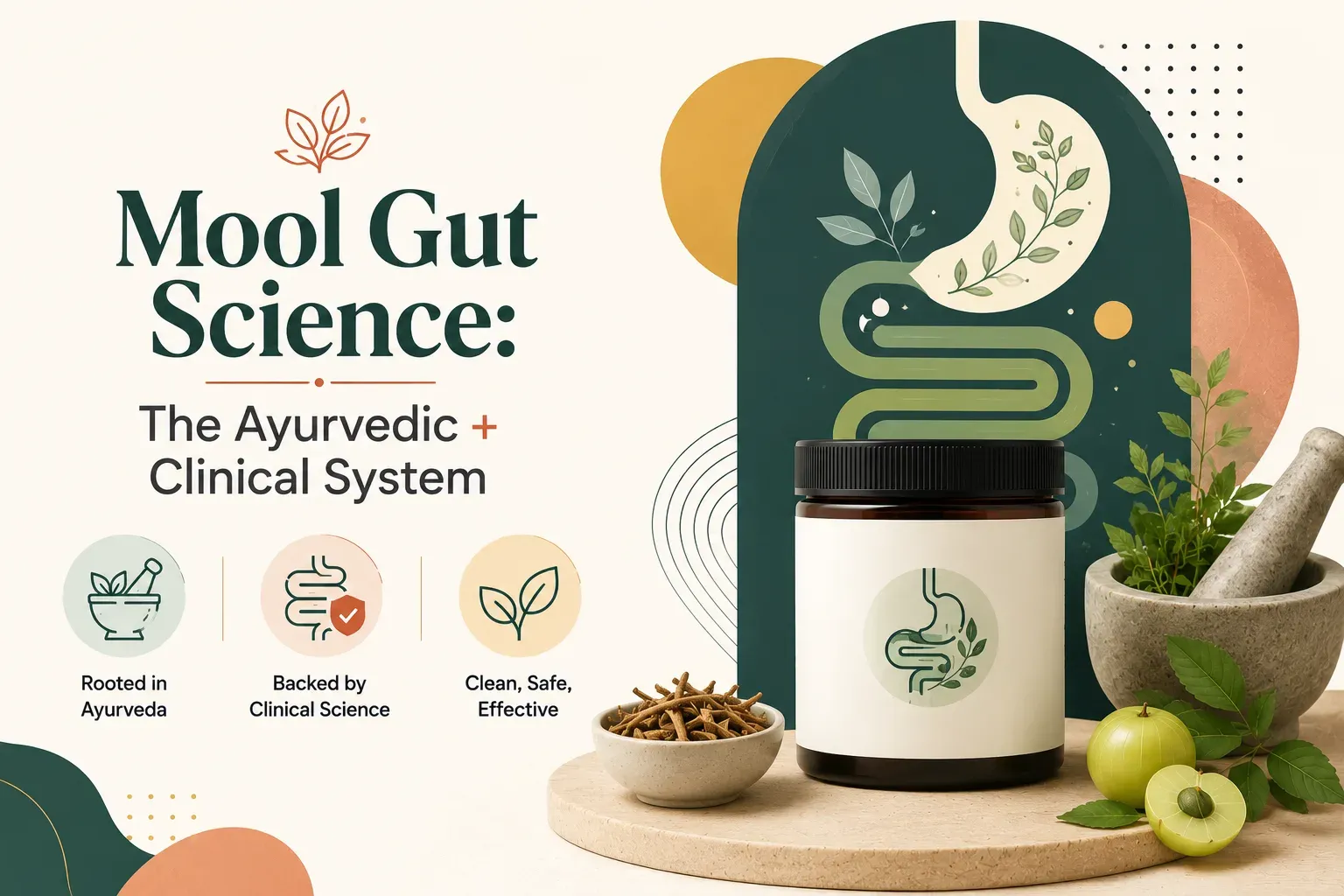  Mool Gut Science: The Ayurvedic + Clinical System Behind India's First Proven Gut Brand