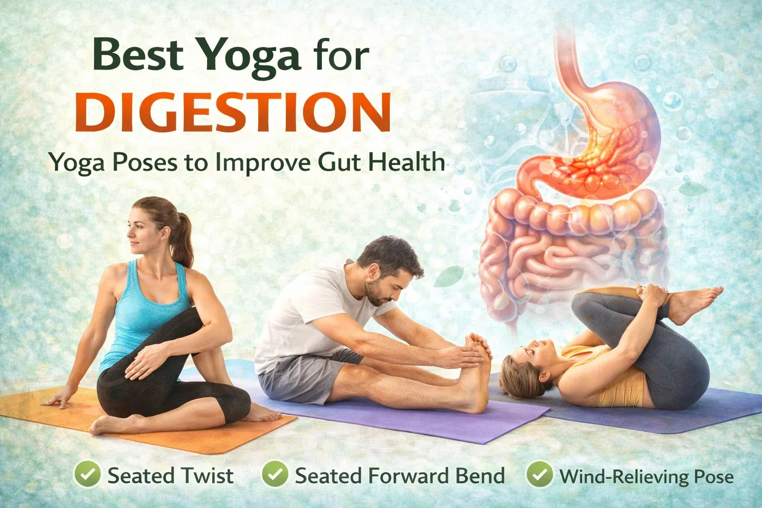 Best Yoga for Digestion