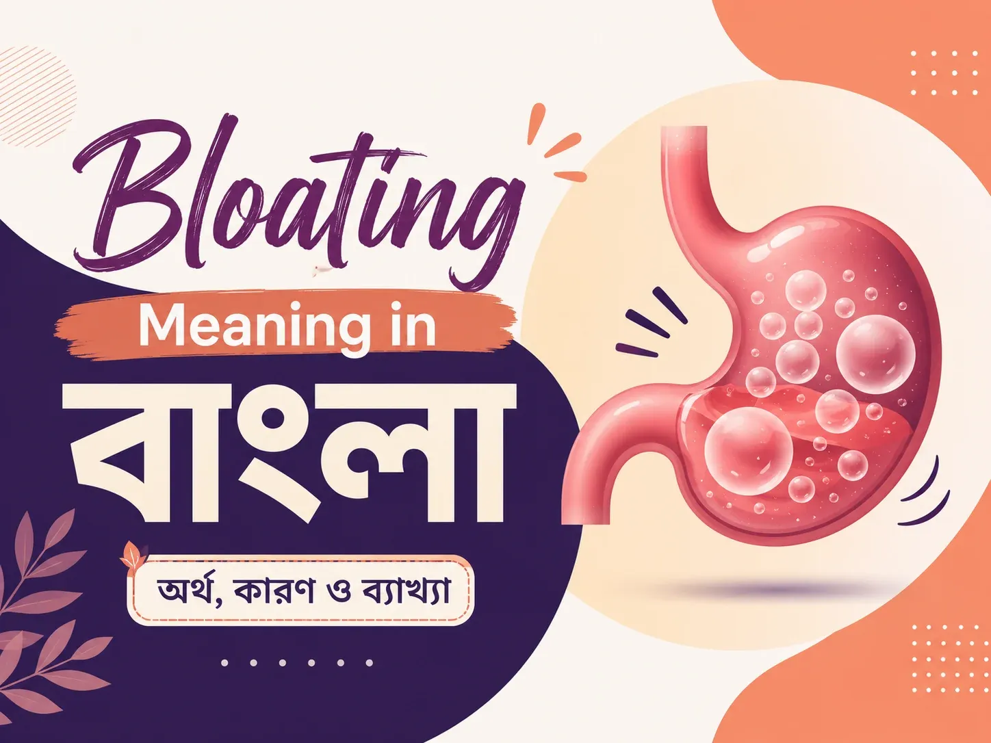 Bloating Meaning in Bengali