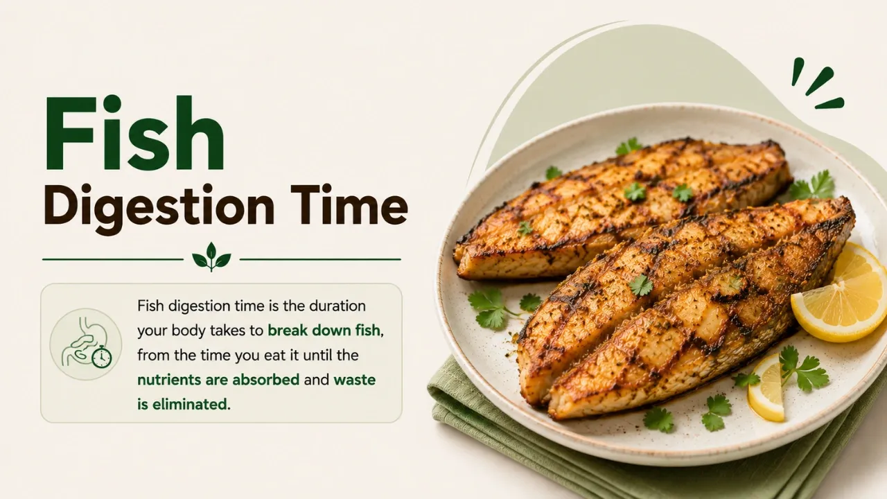 fish digestion time