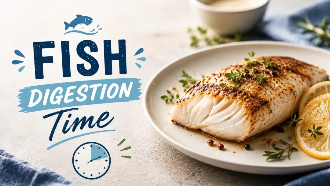 fish digestion time