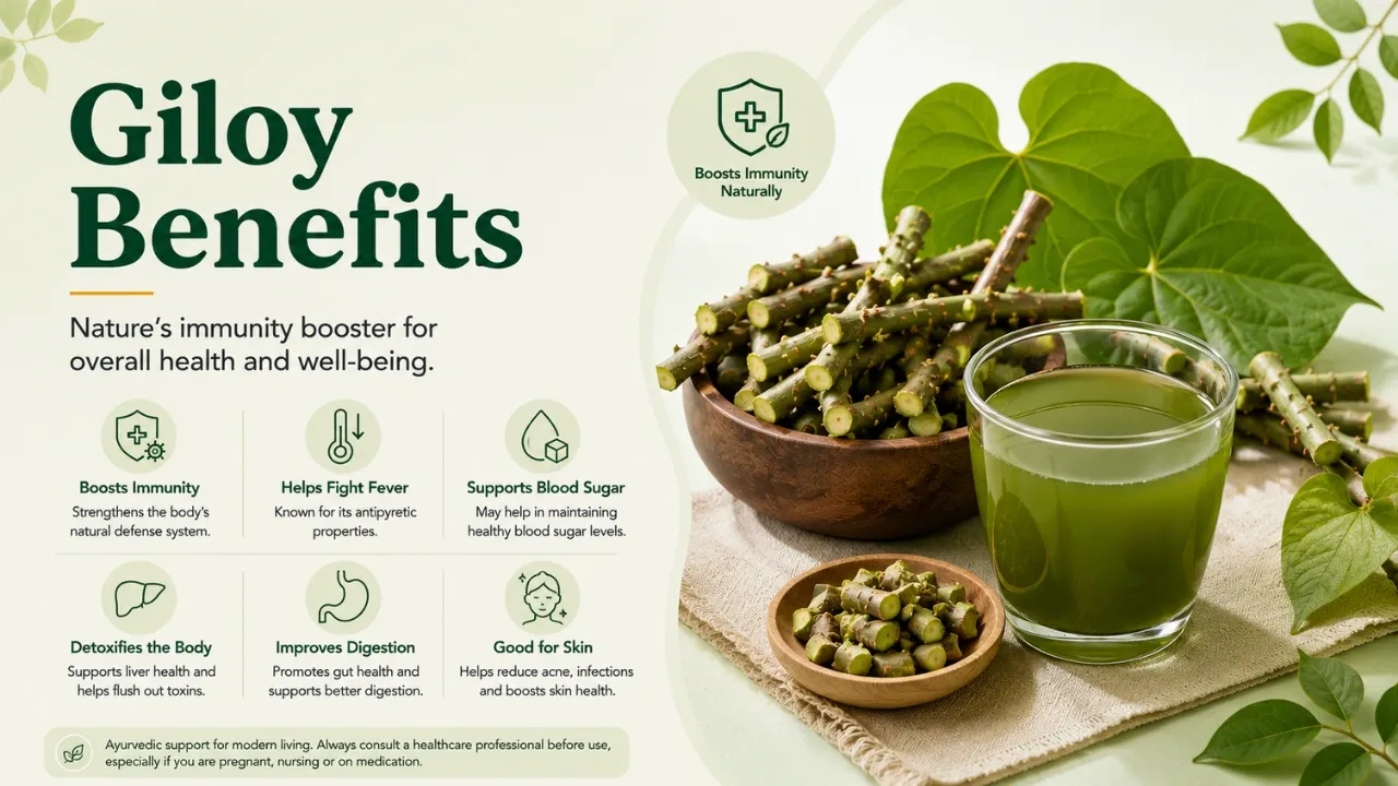 Giloy Benefits
