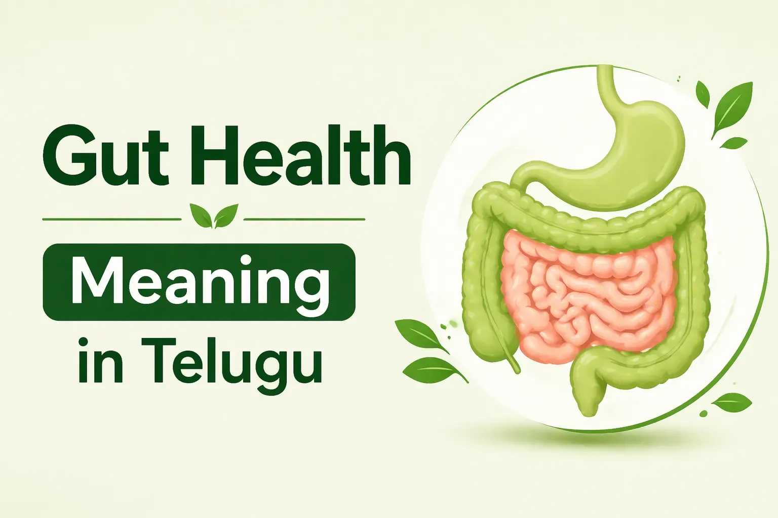 Gut Health Meaning in Telugu: Symptoms, Importance & Tips