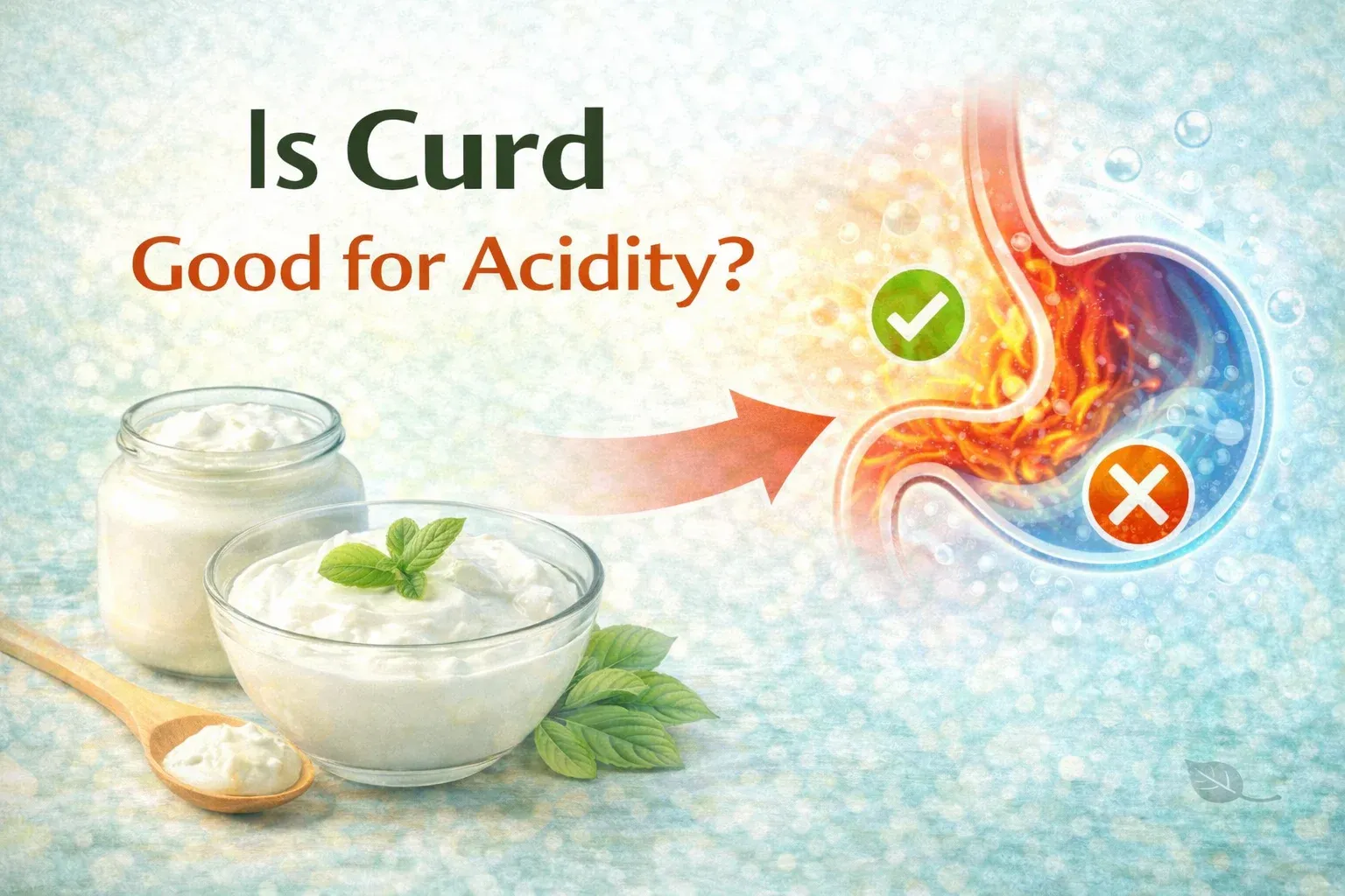 is curd good for acidity