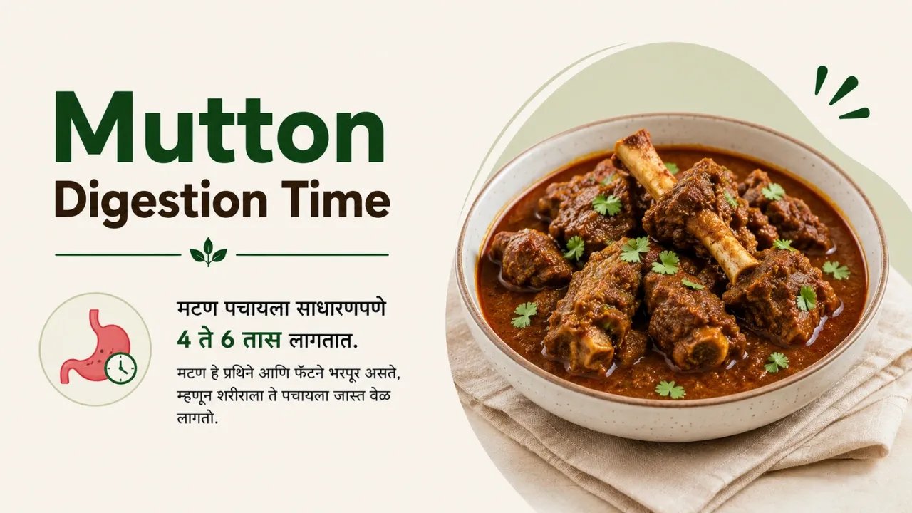 Mutton Digestion Time: Why It Feels Heavy and How to Digest It Better