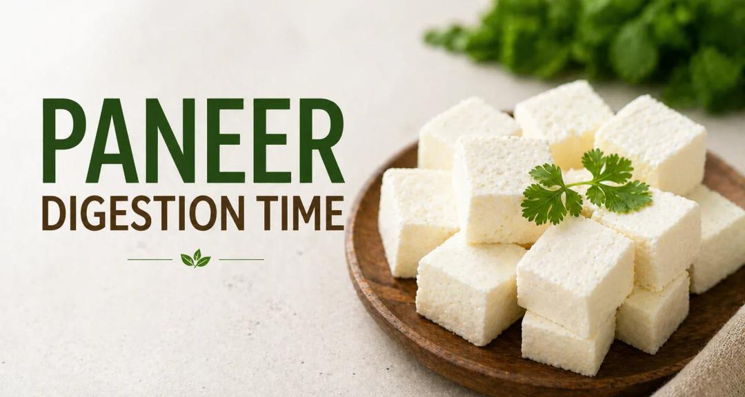 paneer digestion time