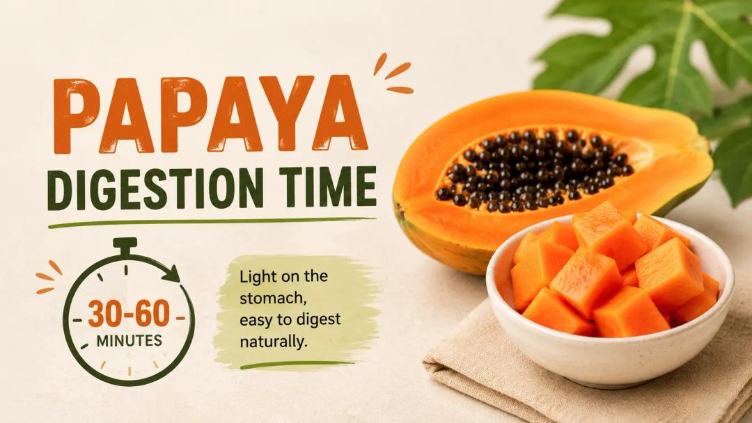 papaya digestion time