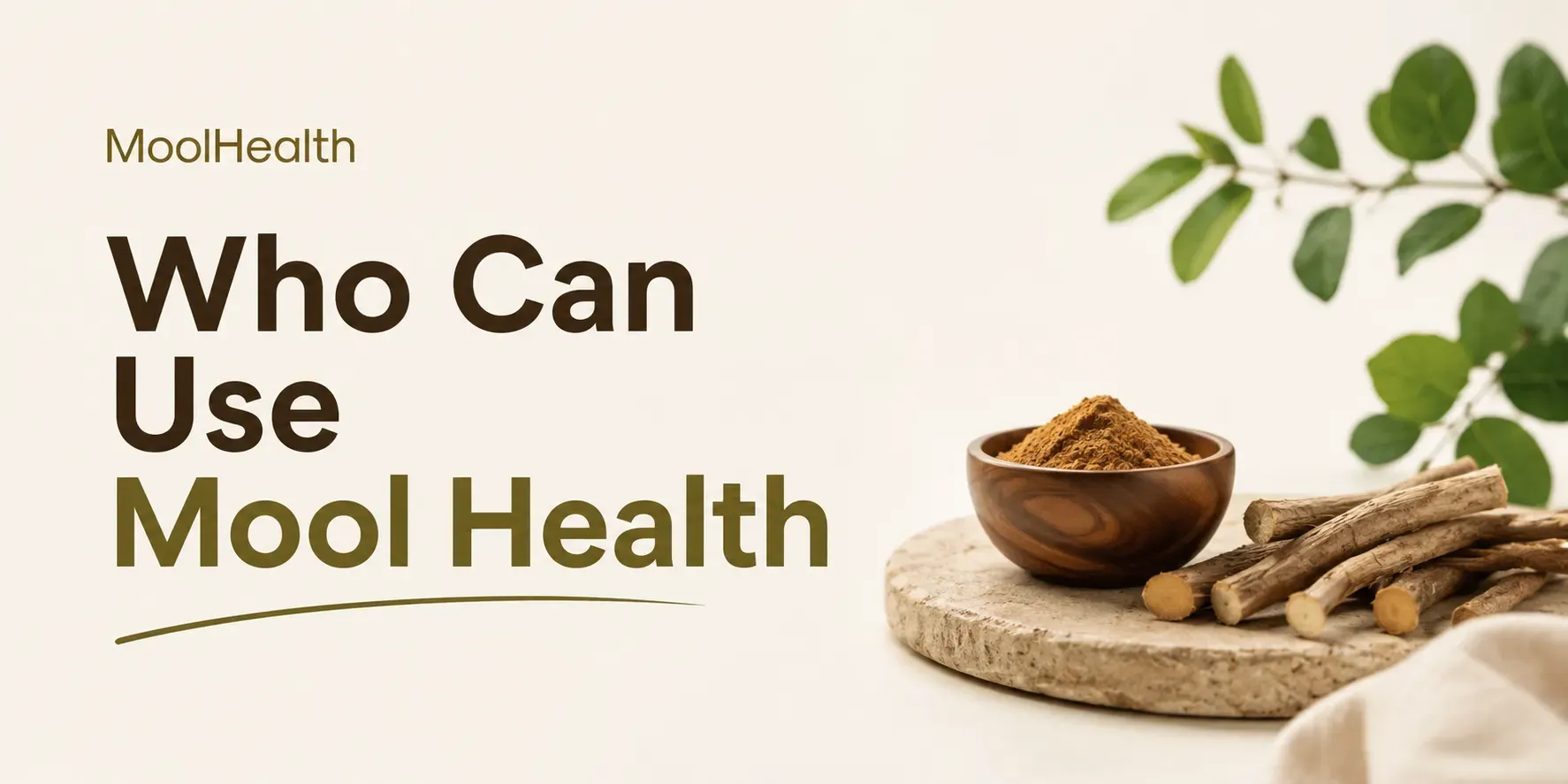 Who Can Use Mool? Find Out If It’s Right for Your Gut Health