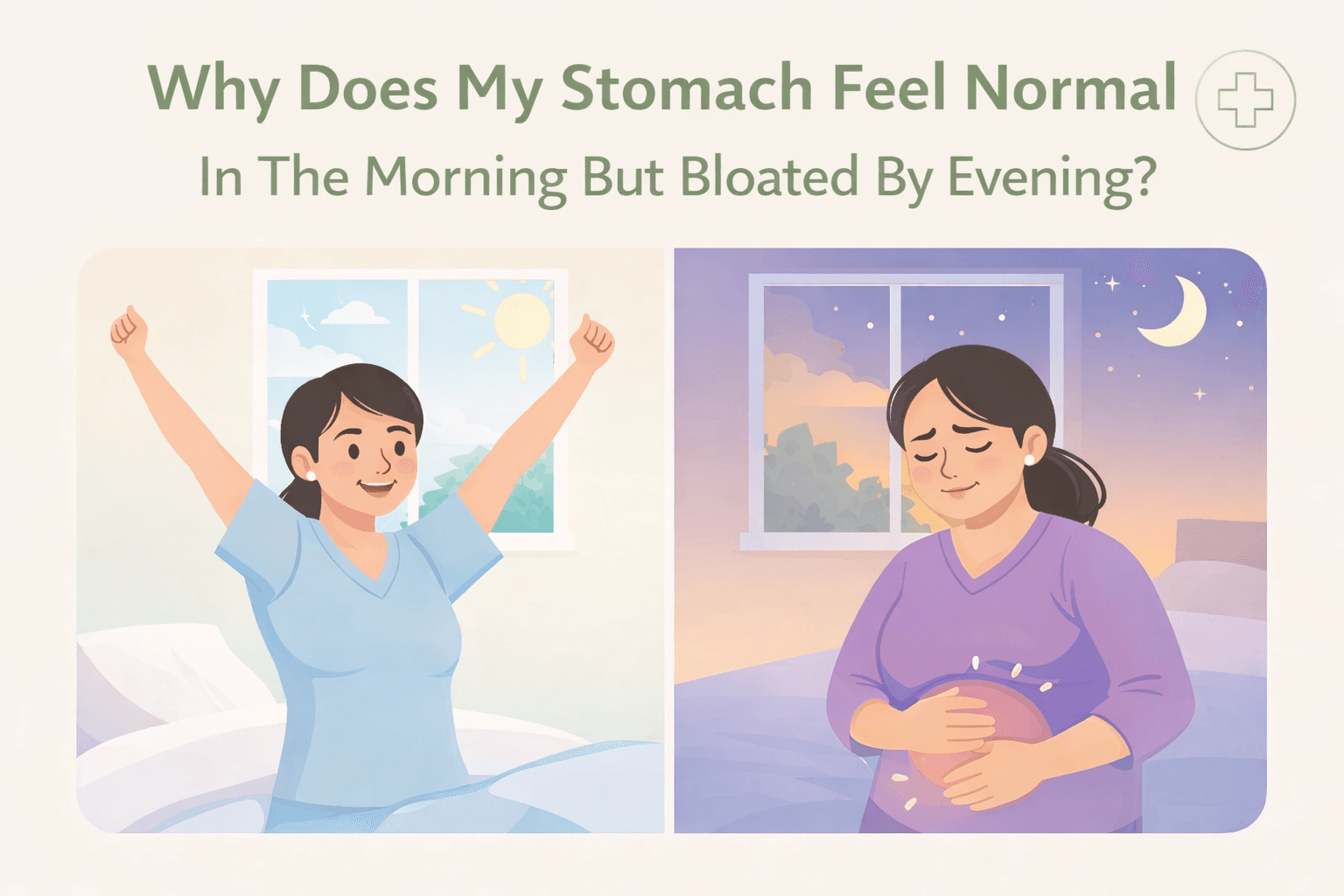 Why Is My Stomach Bloated in the Evening? Causes & Daily Fixes
