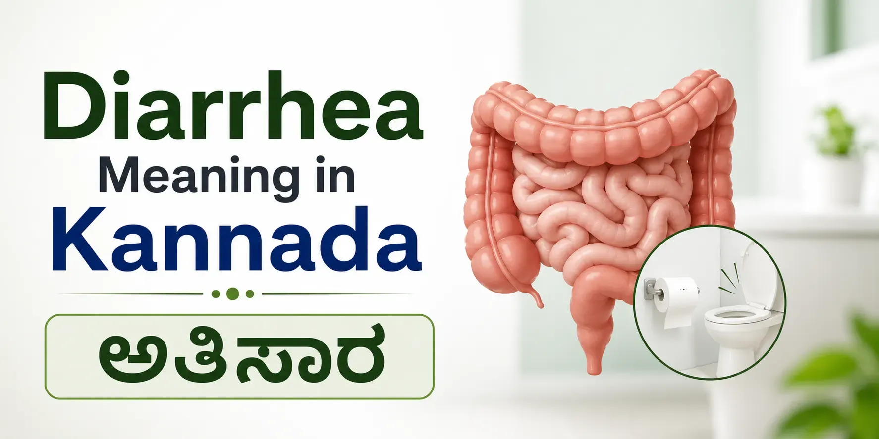 Diarrhea Meaning in Kannada | ಜಲದೋಷ ಅರ್ಥ, ಲಕ್ಷಣಗಳು ಮತ್ತು ಆರೈಕೆ