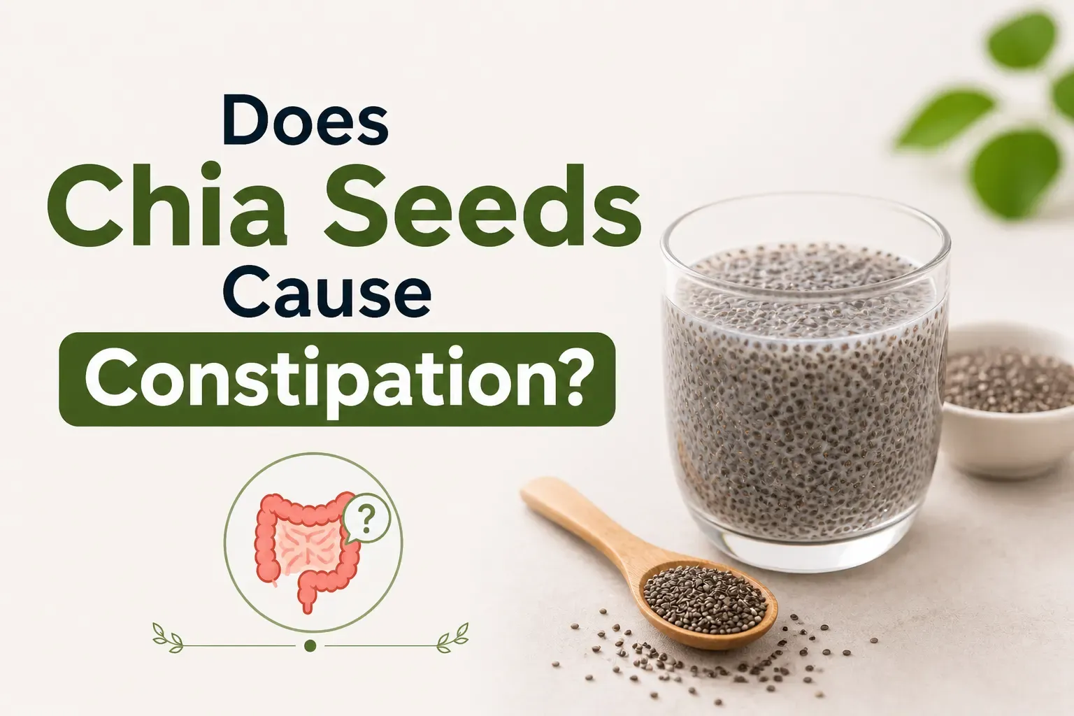 does chia seeds cause constipation