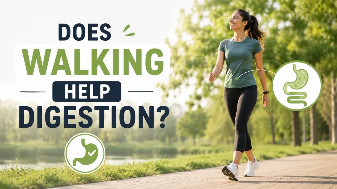 does walking help digestion