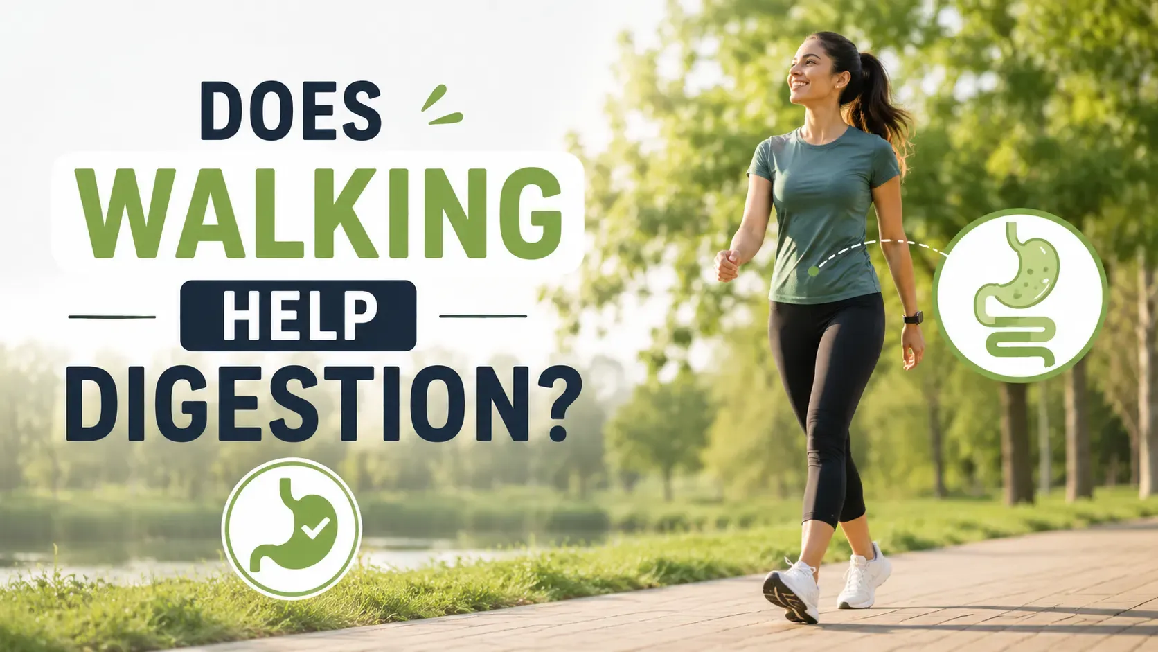 does walking help digestion