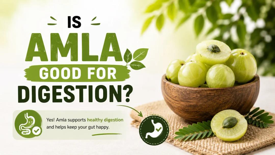 is amla good for digestion