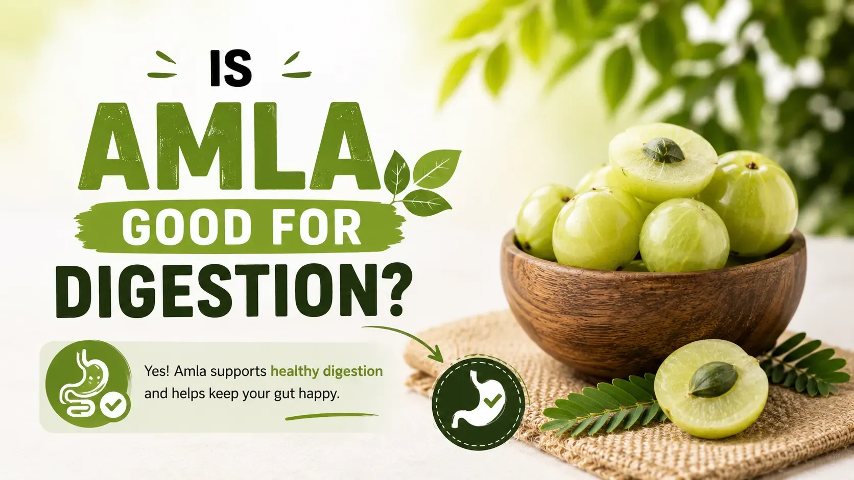 is amla good for digestion