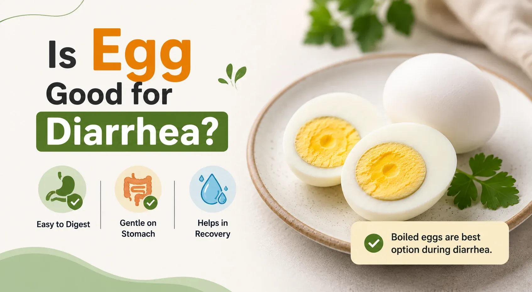 Is Egg Good for Diarrhea? Benefits, Risks & Safe Ways to Eat