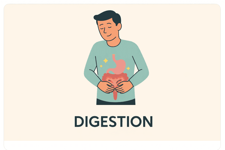 Digestion