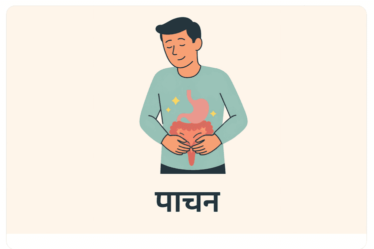 Digestion Hindi