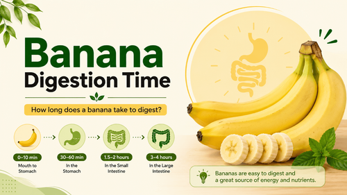 Banana Digestion Time: How Long It Takes and Best Time to Eat