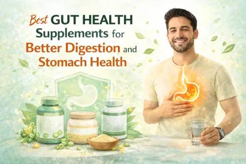 Best Gut Health Supplements for Digestion and Stomach Health