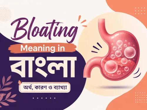 Bloating Meaning in Bengali: A Complete Guide