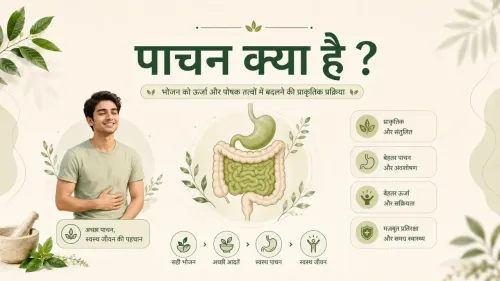 Digestion in Hindi: पाचन कैसे होता है, फायदे और बेहतर पाचन के तरीके