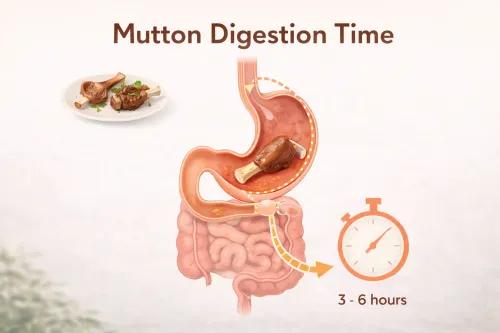 Mutton Digestion Time: Curry, Biryani, Liver and Chicken vs Mutton Compared