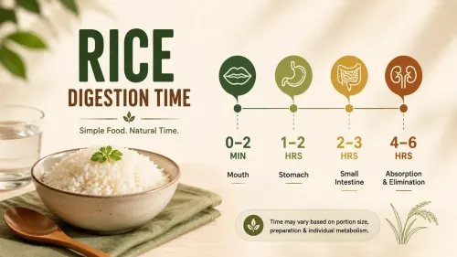 Rice Digestion Time: How Long Does Rice Take to Digest?